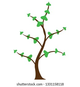 
green trees start to blossom