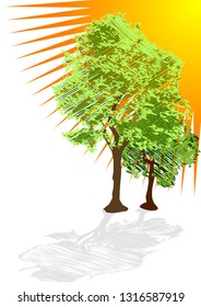 green trees and sun. abstract summer background