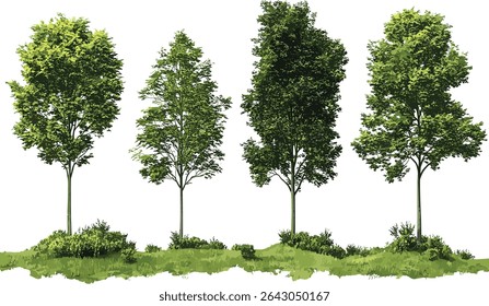 Green trees vector set, nature illustration, eco friendly designs, forest plants, nature artwork, green environment, vector tree graphics, landscape art, tree design, eco vector