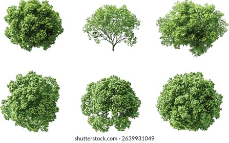 Green trees vector, top view shape, cut out transparent background, nature concept, forest background, greenery, environmental design, green foliage, landscape illustration