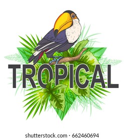 Green triangle with palm leaves and toucan bird on a white background. Tropical summer background.