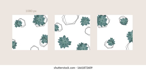 Green and Tropical cover design template, Social media stories and Main Feed Background  with green tropical leaf geometric shapes and minimal style decoration. Vector illustration.