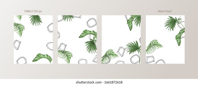 Green and Tropical cover design template, Social media stories and Main Feed Background  with green tropical leaf geometric shapes and minimal style decoration. Vector illustration.