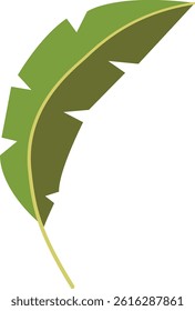Green Tropical Exotic Leaves. Isolated on White Background. Vector Illustration in Flat Style.