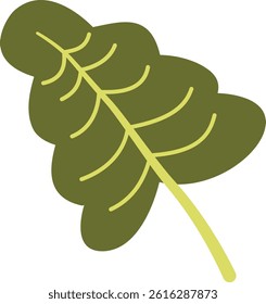 Green Tropical Exotic Leaves. Isolated on White Background. Vector Illustration in Flat Style.