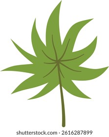 Green Tropical Exotic Leaves. Isolated on White Background. Vector Illustration in Flat Style.