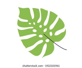 A green tropical exotic plant leaf illustration 
