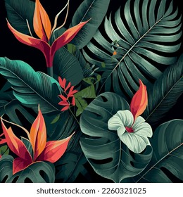 Fondo verde de bosque tropical hojas de monstera, hojas de palma, ramas. Fondo de plantas exóticas para banner, plantilla, decoración, postal. Follaje abstracto y papel mural botánico - Ilustración vectorial