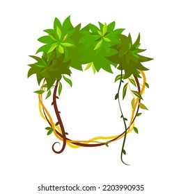 Green tropical frame. Cartoon frame shaped lianas, plant branches with leaves, borders with copy space. Isolated vector
