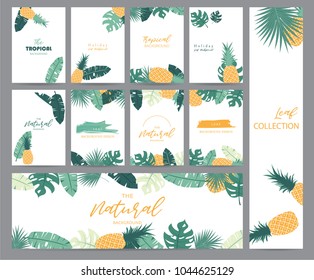 Green tropical greeting card with palm, coconut tree,pineapple and banana leaf