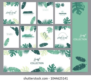 Green tropical greeting card with palm, coconut tree and banana leaf