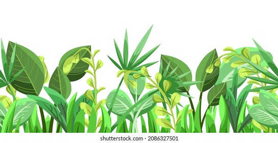 Green tropical herbs and bushes. Horizontal seamless composition. Jungle meadow. Close up. Shoots of palms and plants. Funny cartoon style. Isolated on white background. Vector