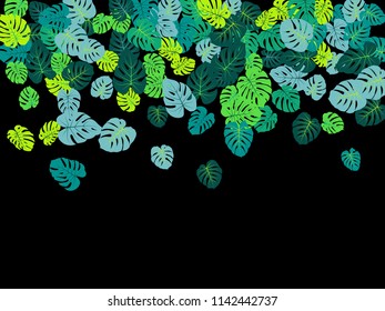 Green tropical jungle leaves vector scatter. Philodendron or monstera plant summer background. Cute jungle plants tropical foliage pattern. Greenery graphics with monstera leaves on black.