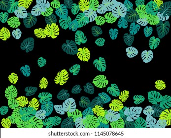 Green tropical jungle leaves vector scatter. Philodendron or monstera plant summer background. Paradise jungle plants tropical foliage pattern. Greenery vector with monstera leaves on black.