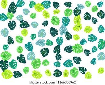 Green tropical jungle leaves vector scatter. Philodendron or monstera plant summer background. Minimal jungle plants tropical foliage pattern. Floral graphics with monstera leaves on white.