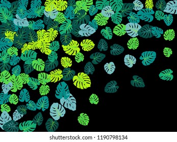 Green tropical jungle leaves vector scatter. Philodendron or monstera plant summer background. Cool jungle plants tropical foliage pattern. Floral vector with monstera leaves on black.