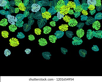 Green tropical jungle leaves vector scatter. Philodendron or monstera plant summer background. Cool jungle plants tropical foliage pattern. Floral vector with monstera leaves on black.