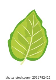 Hoja tropical verde. Ilustración vectorial dibujada a mano para el diseño ecológico