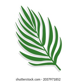 Green tropical leaf of palm tree with shadow. Simple vector illustration isolated on white background.