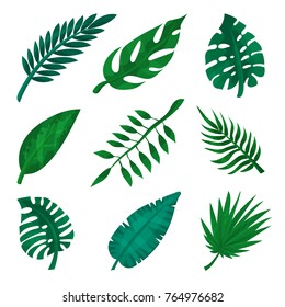 Green tropical leaf set, palm leaves vector Illustrations