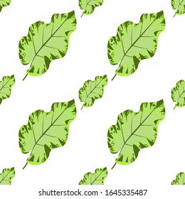 Green Tropical Leaf. Vector illustration. Seamless background pattern. Floral botanical flower. Wild leaf wildflower isolated. Exotic tropical hawaiian jungle. Fabric wallpaper print texture.