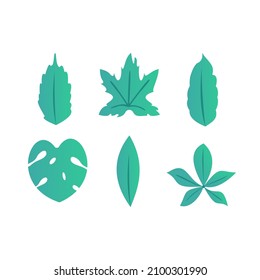 green tropical leaf vector on white background, pattern tropical leaf with separated layers