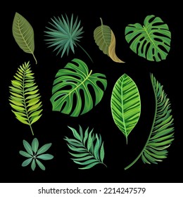 Green Tropical Leaves and Botany Isolated on Black Background Big Vector Set
