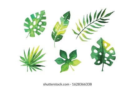 Green Tropical Leaves Collection, Beautiful Exotic Plants Watercolor Hand Drawn Vector Illustration