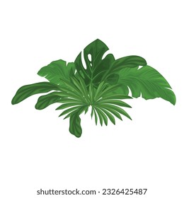 Green tropical leaves. The composition showcases a variety of lush foliage depicting palm leaves, ferns, banana leaves and monstera leaves.