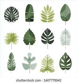 Green Tropical Leaves Icon Set. Leaf Design For Banner And Packaging Background.