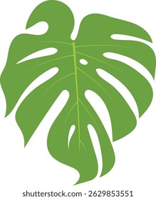 Green Tropical Leaves Illustration. Exotic Plant and Flower Design. Flat Vector Element