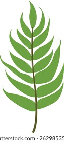 Green Tropical Leaves Illustration. Exotic Plant and Flower Design. Flat Vector Element