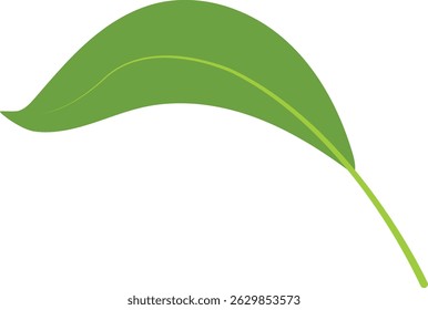 Green Tropical Leaves Illustration. Exotic Plant and Flower Design. Flat Vector Element