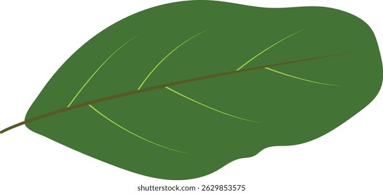 Green Tropical Leaves Illustration. Exotic Plant and Flower Design. Flat Vector Element