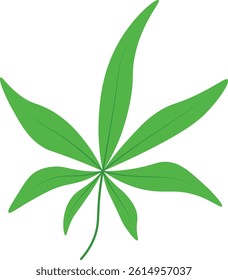 Green Tropical Leaves Isolated on White Background. Vector Illustration.