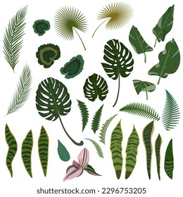 Hojas tropicales verdes aisladas. Ilustración vectorial.