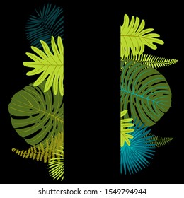 Green tropical leaves of palm trees, monstera, fern and other plants. Vector color sketch on a black background. 