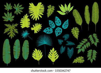 Green tropical leaves of palm trees, monstera, fern and other plants. Vector color sketch on a black background. 