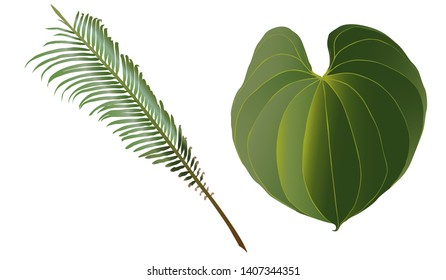 Green tropical leaves set on white background. Exotic leaves. Closeup summer nature landscape. Tropical leaves set. Paradise nature