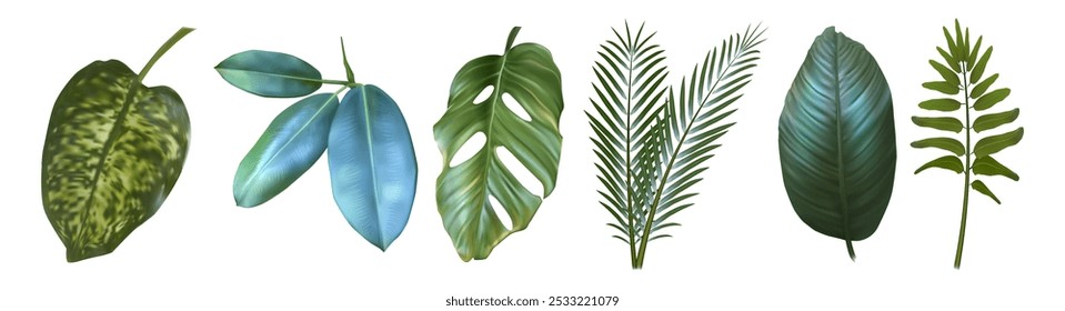 Hojas tropicales verdes para el diseño floral de las vacaciones de la playa del verano. Conjunto realista de Vector en 3D de plantas exóticas de la selva: monstruos y palmeras, aglaonema y helecho, dieffenbachia y follaje de ficus elastica.