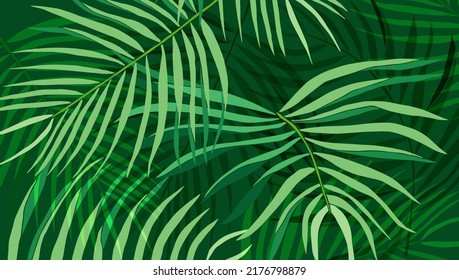 Green tropical leaves vector background card