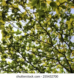 Green tropical leaves vector background 