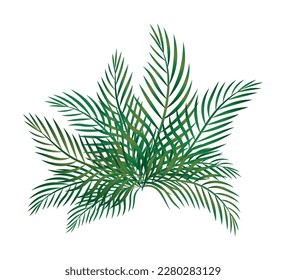 Hojas tropicales verdes, diseño vectorial