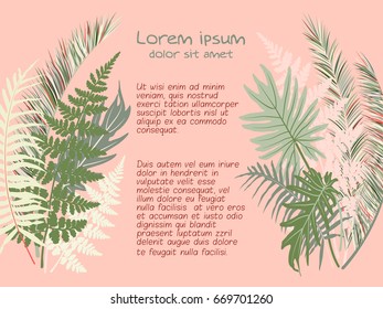 Green tropical leaves vector illustration - frame for random text on pink background. Jungle exotic leaf, greenery pattern. Card with tropic fern frond, palm tree branches.