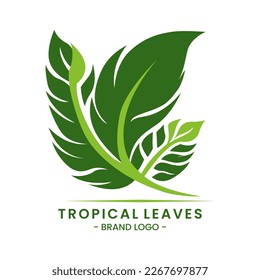Green tropical leaves vector isolated on a white background suitable for logo design or invitation