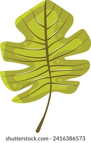 Green tropical monstera leaf with drops of water. Botanical nature design element, foliage decoration. Natural organic shapes vector illustration.