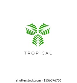 Green Tropical Palm leaf logo vector design template