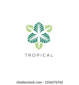 Green Tropical Palm leaf logo vector design template