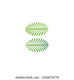 Green Tropical Palm leaf logo vector design template