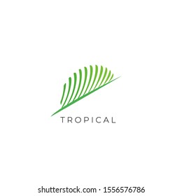 Green Tropical Palm leaf logo vector design template